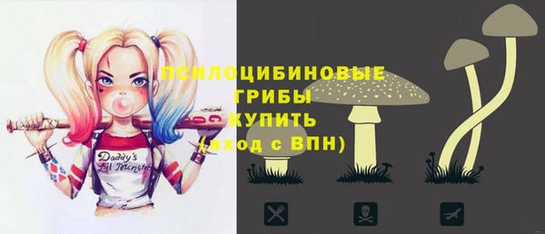 соль ск Абдулино