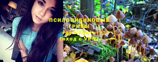 ГАЛЛЮЦИНОГЕННЫЕ ГРИБЫ Абинск